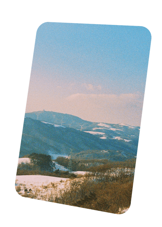 엽서 사진 견본